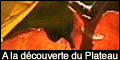 Le Plateau de Millevaches